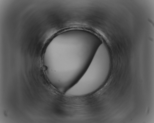 X0000091951267200709061032