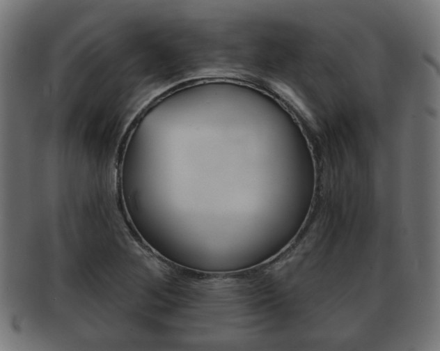 X0000091951268200709061032