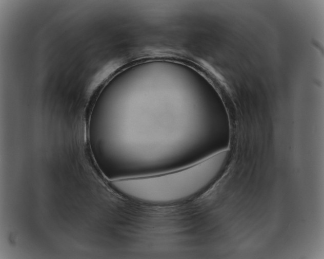 X0000091951269200709061032