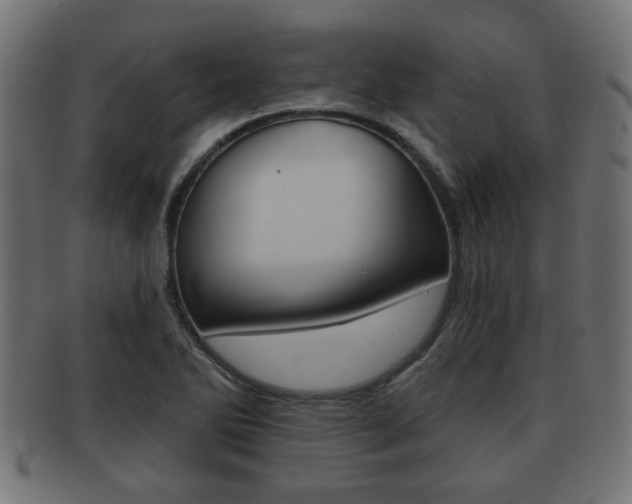 X0000091951270200709061032