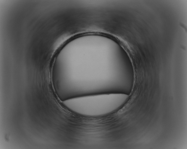 X0000091951271200709061032