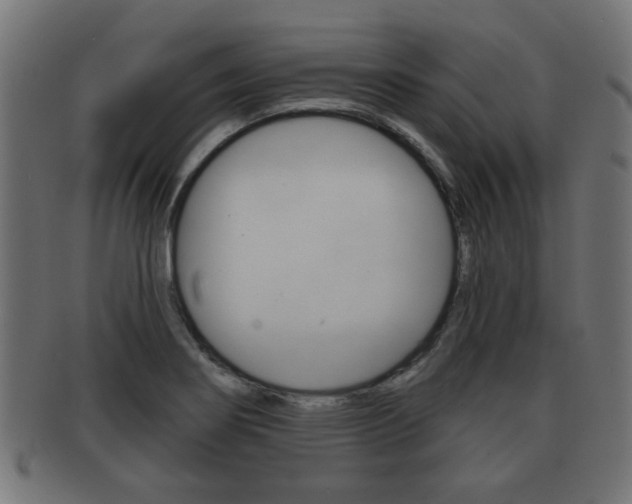 X0000091951274200709061032