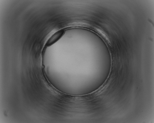 X0000091951275200709061032