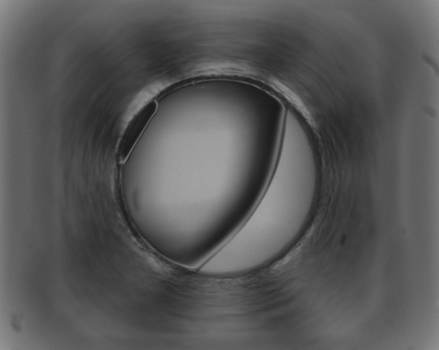 X0000091951277200709061032
