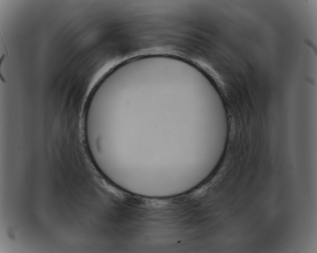 X0000091951278200709061032