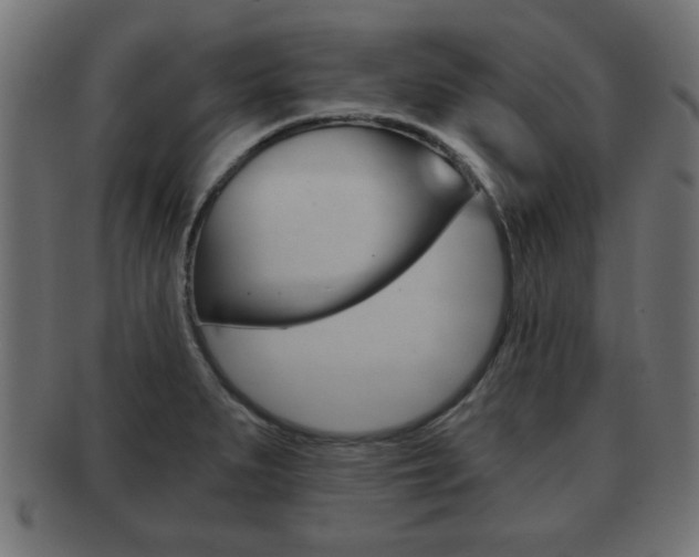 X0000091951279200709061032