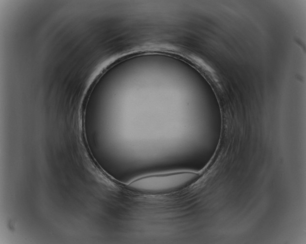 X0000091951280200709061032