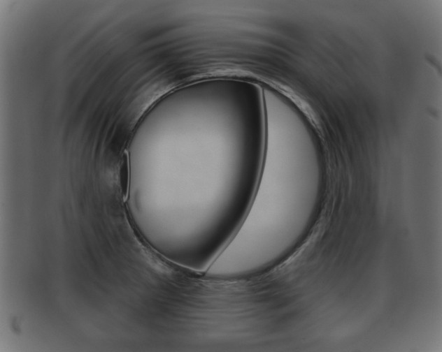 X0000091951281200709061032
