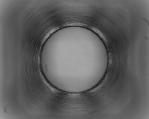 X0000091951282200709061032