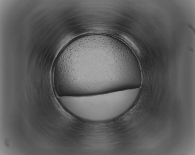 X0000091951283200709061032