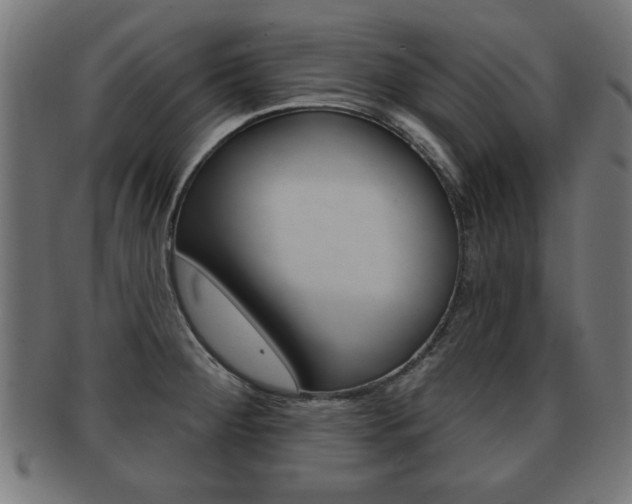 X0000091951284200709061032