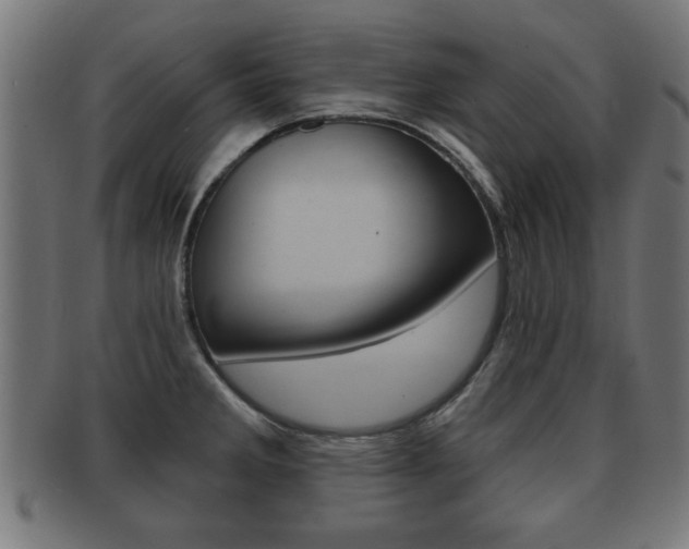 X0000091951285200709061032