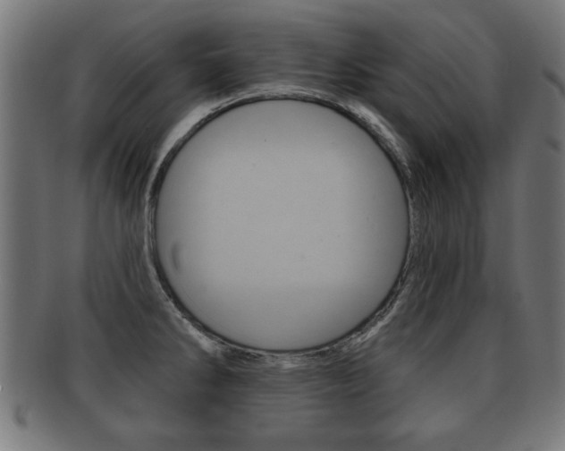 X0000091951286200709061032