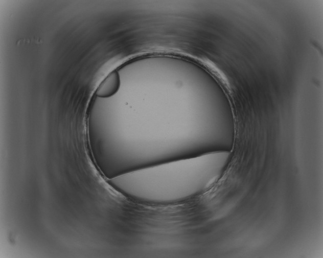 X0000091951287200709061032