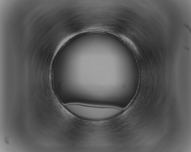 X0000091951288200709061032