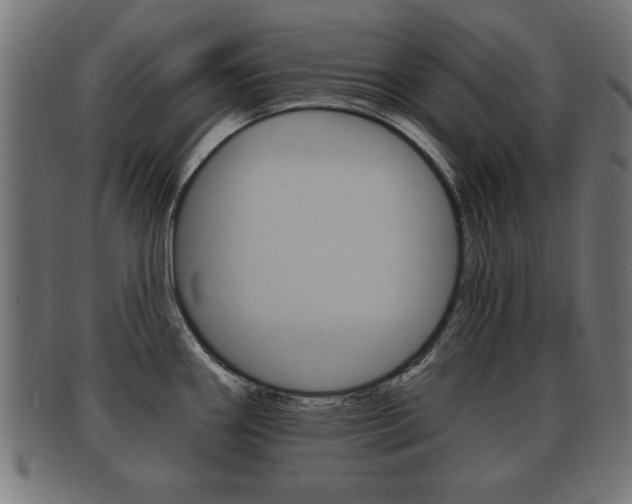 X0000091951290200709061032