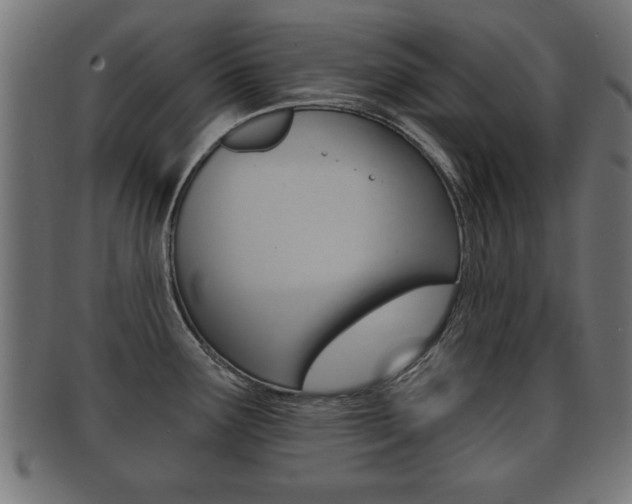 X0000091951291200709061032