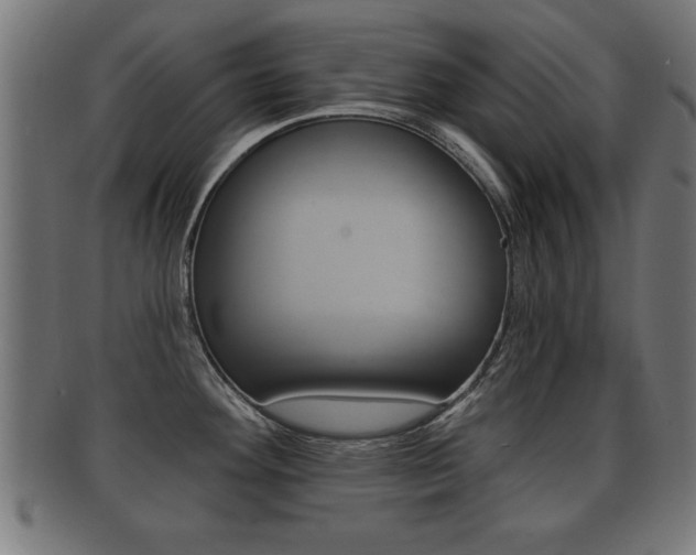 X0000091951292200709061032
