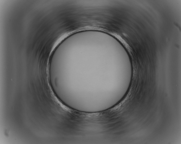 X0000091951294200709061032