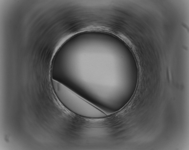 X0000091951296200709061032
