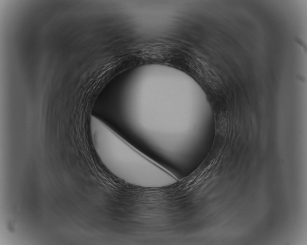 X0000091951297200709061031