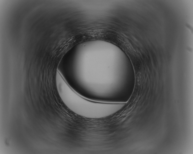 X0000091951298200709061031