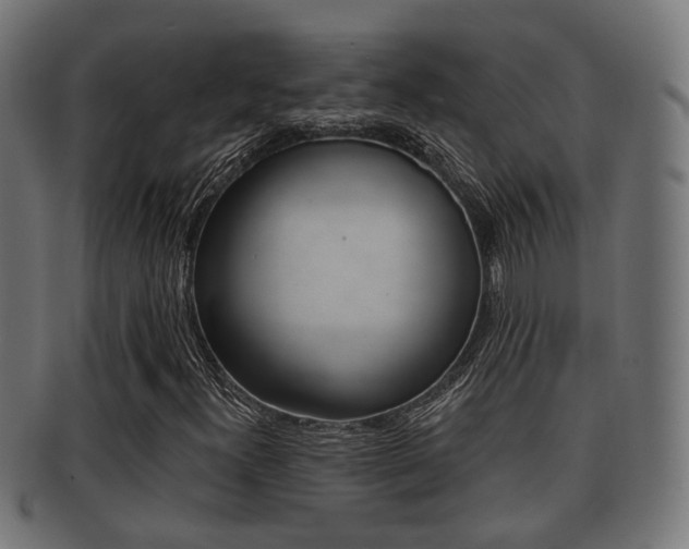 X0000091951300200709061031