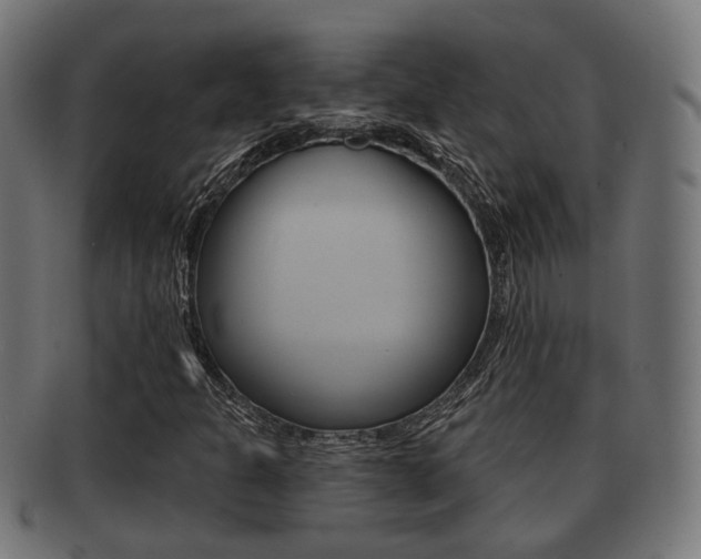 X0000091951301200709061031