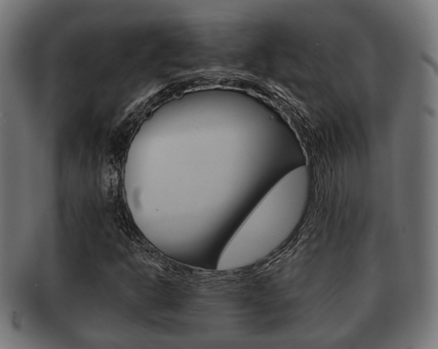X0000091951302200709061031