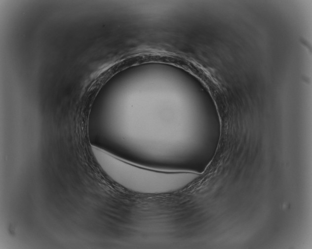 X0000091951303200709061031