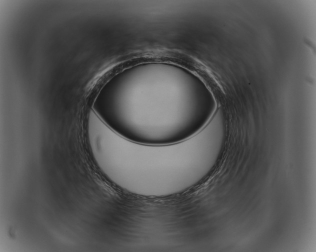 X0000091951304200709061031