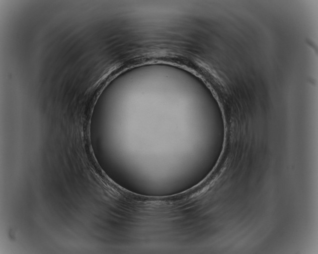 X0000091951305200709061031
