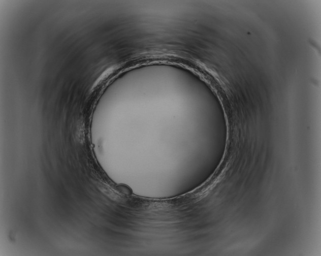X0000091951306200709061031