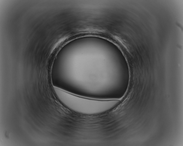 X0000091951307200709061031