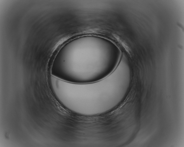 X0000091951308200709061031