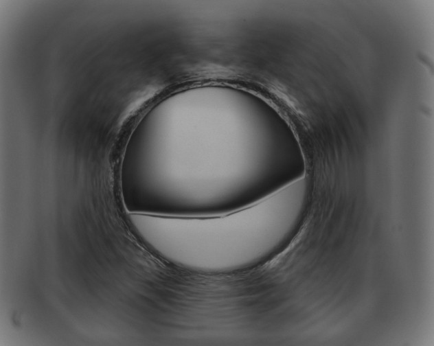X0000091951309200709061031