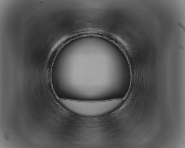 X0000091951310200709061031