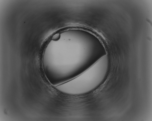 X0000091951311200709061031