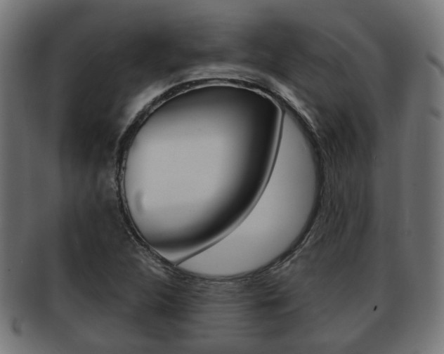 X0000091951312200709061031