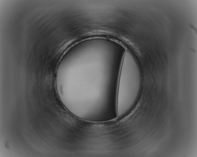 X0000091951313200709061031