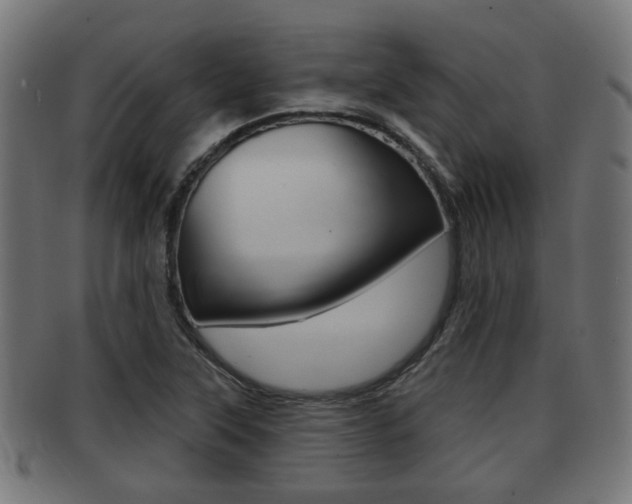 X0000091951315200709061031