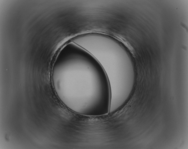 X0000091951316200709061031