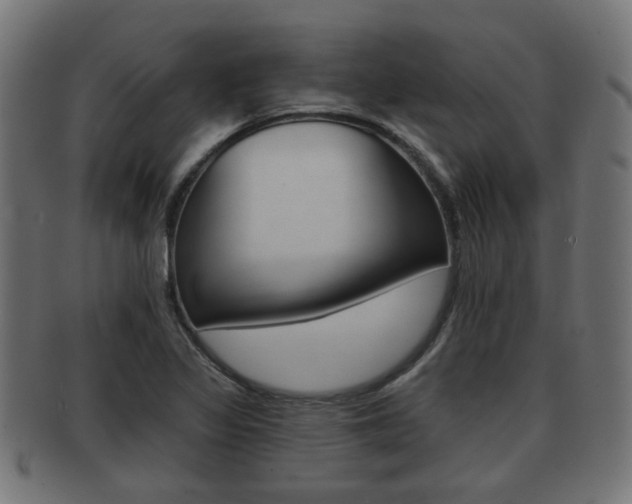 X0000091951317200709061031
