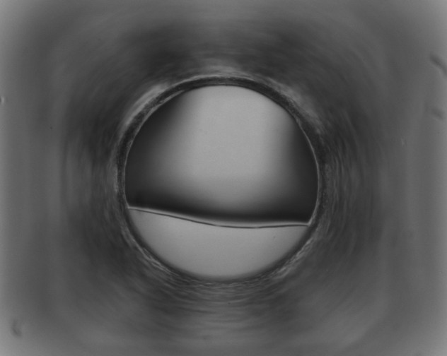 X0000091951318200709061031