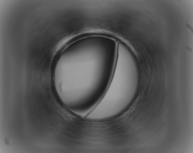 X0000091951319200709061031