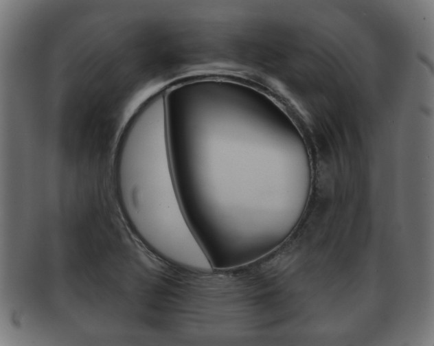 X0000091951320200709061031