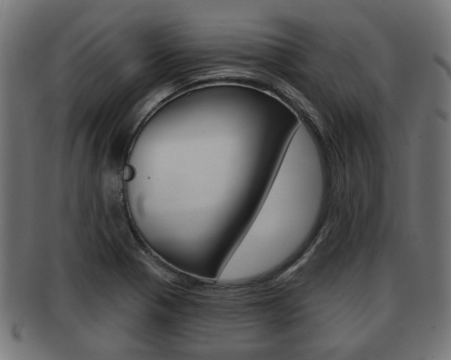 X0000091951321200709061031