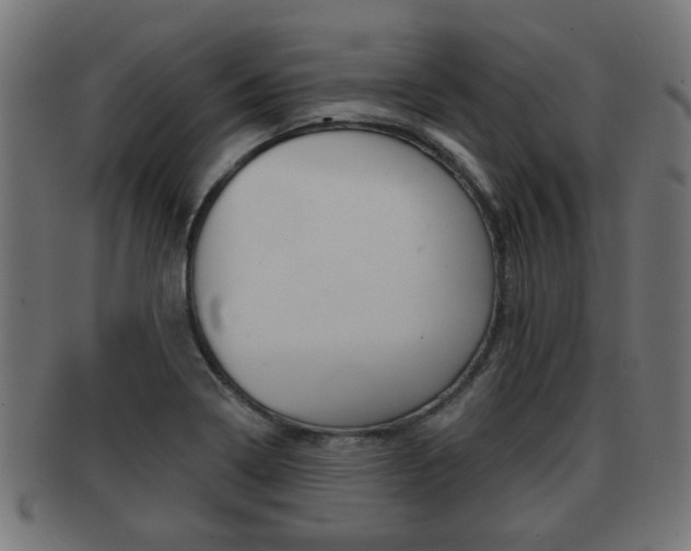 X0000091951322200709061031