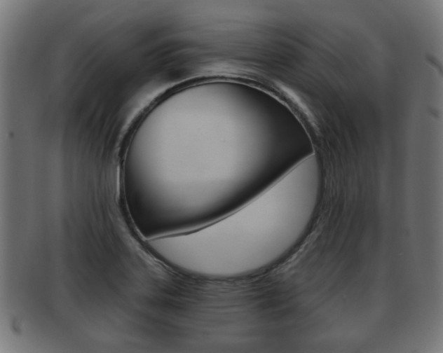 X0000091951323200709061031