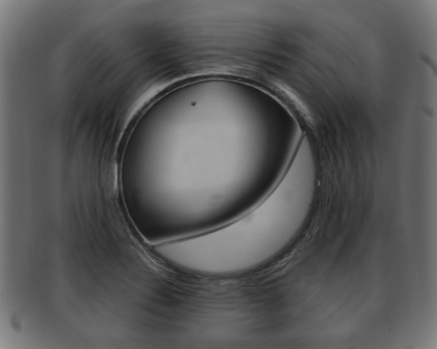 X0000091951324200709061031